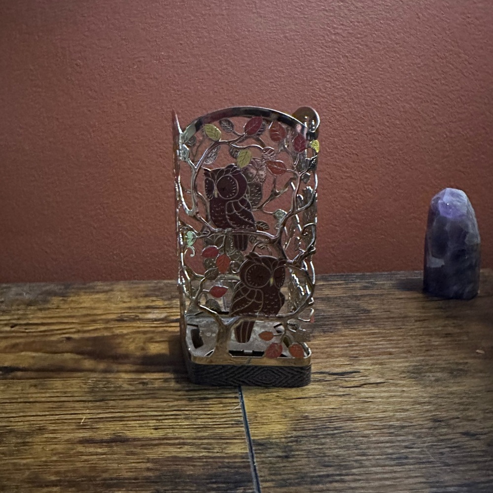 Bath and Body Works Owl Foaming Soap Holder